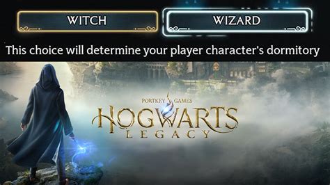 Hogwarts legacy witch dormotory